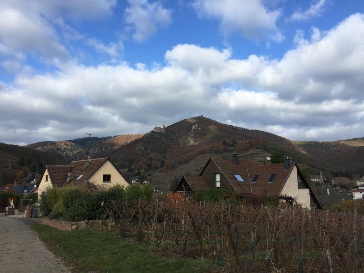 Les Menetriers Lägenhet Ribeauvillé Exteriör bild